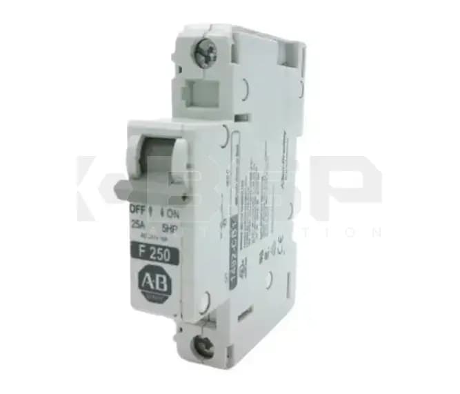 Allen Bradley 1492-CB1F250 Allen Bradley 1492-CB1F250