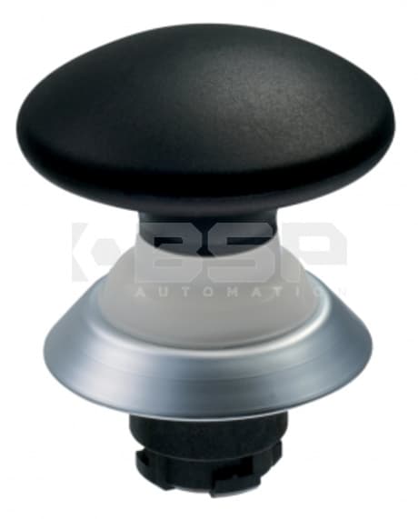 Schmersal NDP50SW Schmersal NDP50SW