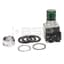 Push Button, Extended Head, w/o Guard, 12-130V AC/DC, Green, 30mm 343544