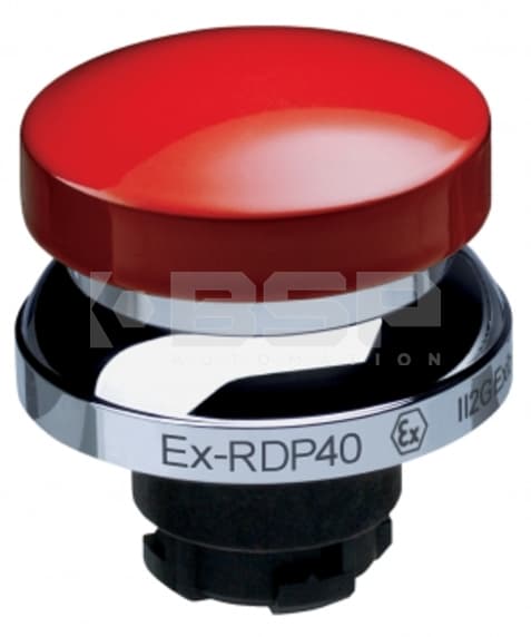 Schmersal EX-RDP40RT Schmersal EX-RDP40RT