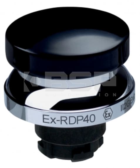 Schmersal EX-RDP40SW Schmersal EX-RDP40SW