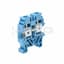 EWS21.V