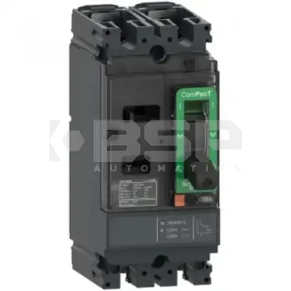 Schneider Electric C10F2TM063 Schneider Electric C10F2TM063