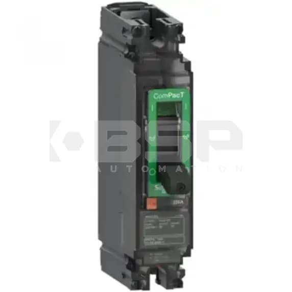Schneider Electric C10F1TM030 Schneider Electric C10F1TM030