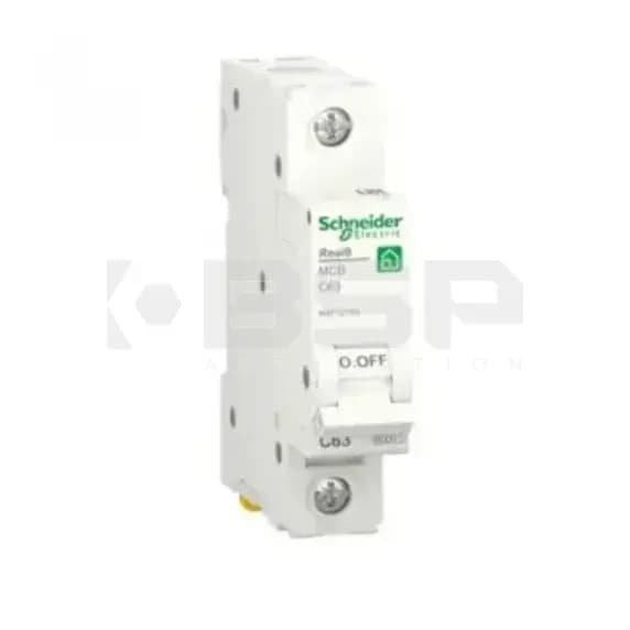 Schneider Electric r9f12163 Schneider Electric r9f12163