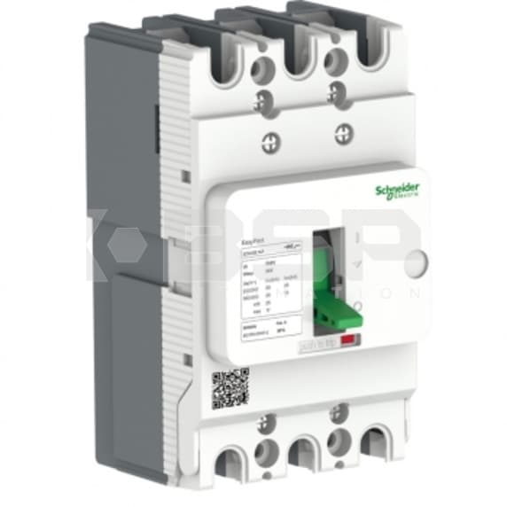 Schneider Electric ezs100e3100 Schneider Electric ezs100e3100