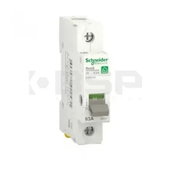 Schneider Electric r9ps163 Schneider Electric r9ps163
