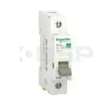 Schneider Electric r9ps163 Schneider Electric r9ps163