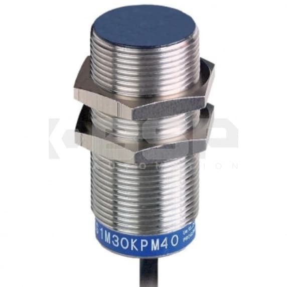 Schneider Electric SCXS1M30KPM40 Schneider Electric SCXS1M30KPM40