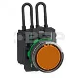 Schneider Electric XB5AW25B5 Schneider Electric XB5AW25B5
