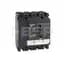 LV429696
