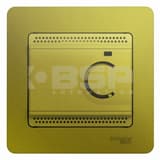 Schneider Electric GSL001038 Schneider Electric GSL001038