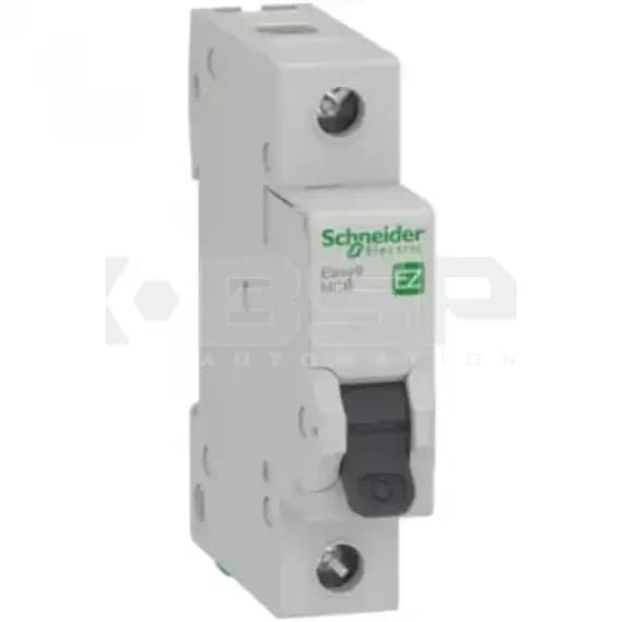 Schneider Electric EZ9F14120 Schneider Electric EZ9F14120