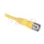 M23, Female, R-Ang, 19-P, PUR Cable, Black, Unshielded, IEC Color C