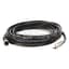 DC Micro (M12), SS Hdwre, Female, Straight, 8-Pin, PVC Cable, Black