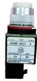 Allen Bradley 800MR-QB24WA Allen Bradley 800MR-QB24WA