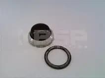 Siemens BJIG-2966812 Siemens BJIG-2966812