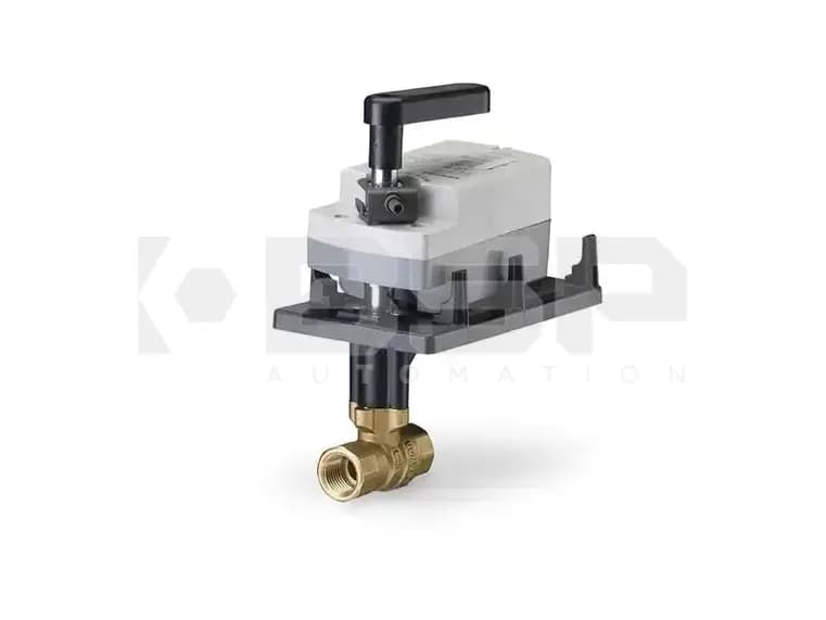 Siemens 172H-10311 Siemens 172H-10311