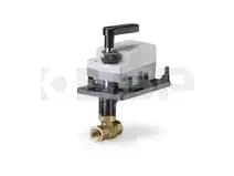 Siemens 172H-10311 Siemens 172H-10311