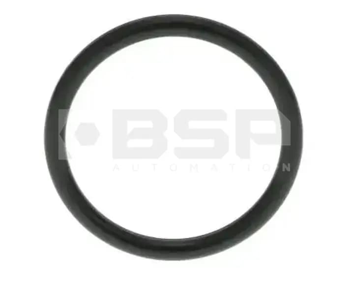 FESTO B-29X3-N-NBR75 FESTO B-29X3-N-NBR75