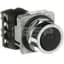 Push Button, Flush Head, Black, Momentary, 1NO/NC, 30mm