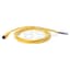 Patchcord: DC Micro (M12), SS Hdwre, Female, Straight, 4-Pin, PVC C