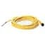 A-B 889D-F4NBDM-2 889 DC Micro Cabl