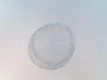 Siemens 3SU1901-0FT70-0AA0 Siemens 3SU1901-0FT70-0AA0