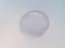 Siemens 3SU1901-0FT70-0AA0 Siemens 3SU1901-0FT70-0AA0