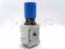 FESTO MS6-LR-1/2-D6-AS FESTO MS6-LR-1/2-D6-AS